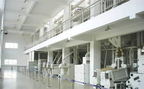 水稻加工成大米加工需要哪些機械呢